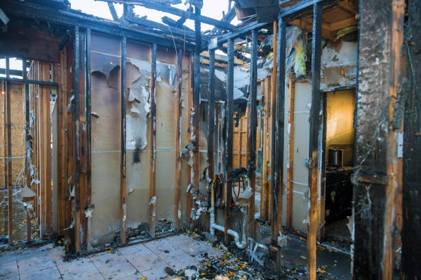 Professional Smoke Damage Removal technician working in Country Club, FL